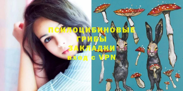 apvp Арсеньев